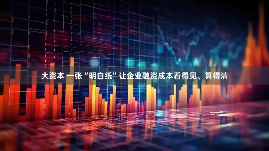 大资本 一张“明白纸”让企业融资成本看得见、算得清