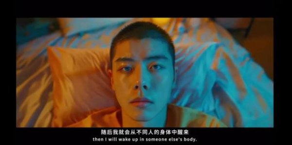 爱优配 AI生成的猫狗短剧，重演“回家的诱惑”