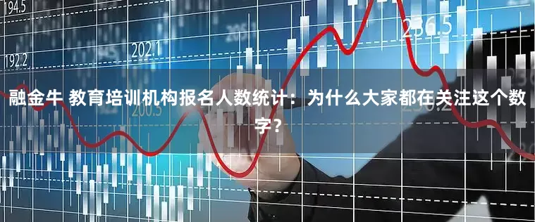 融金牛 教育培训机构报名人数统计：为什么大家都在关注这个数字？