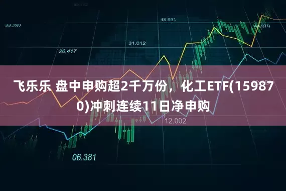 飞乐乐 盘中申购超2千万份，化工ETF(159870)冲刺连续11日净申购
